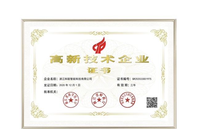 국가 첨단 기술 기업